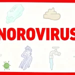 Norovirus: A Comprehensive Guide to the “Stomach Flu” Culprit